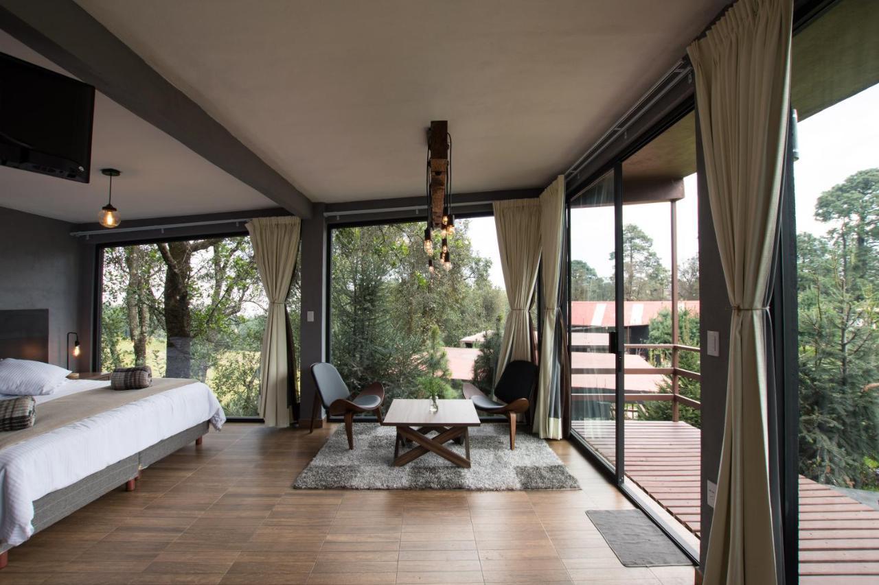 Orgánico Boutique Hotel Città del Messico