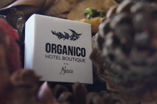 Orgánico Boutique Hotel Città del Messico